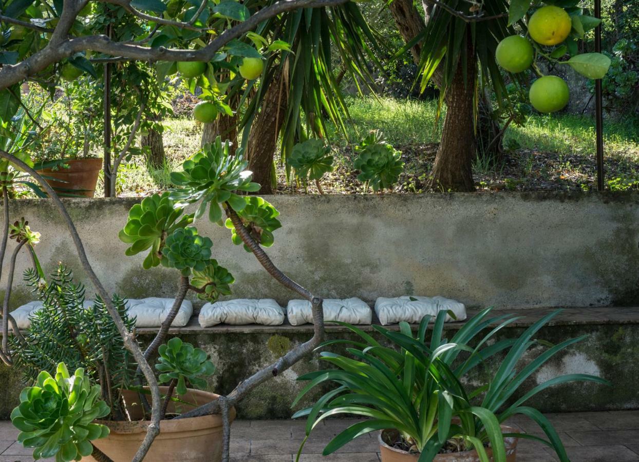 Villa Santa Lucia Cefalù Zewnętrze zdjęcie